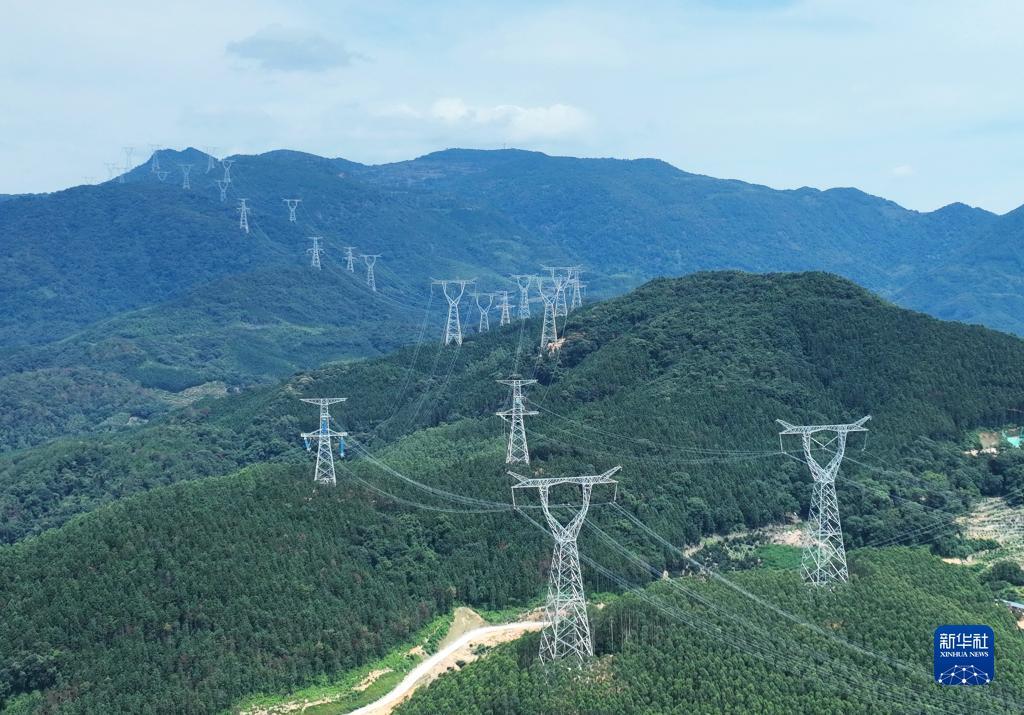 云顶夺宝技巧